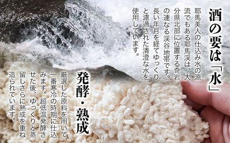 【定期便3回】耶馬美人の姉妹品「禅海」720ml 25度 米1本 | お酒 酒 アルコール 日本酒 禅海 地酒 焼酎 米焼酎 1本 定期 定期便 大分県 中津市