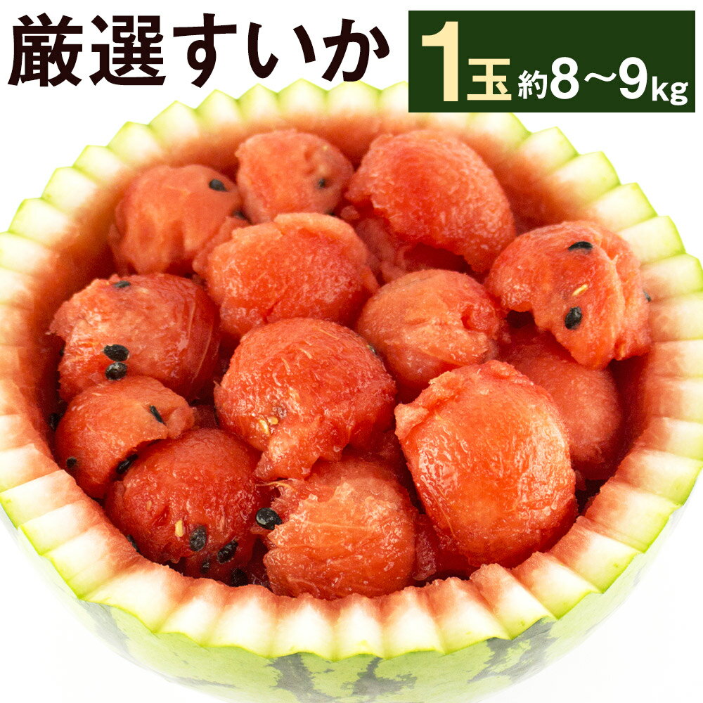 【ふるさと納税】厳選 すいか 1玉 約8kg〜9kg 【メロンドーム】 品種おまかせ ランダム 果物 フルーツ スイカ 西瓜 九州産 熊本県産 送料無料【2026年5月中旬より順次発送予定】【先行予約】