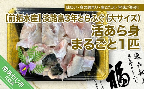 淡路島3年とらふぐ（大サイズ）活あら身まるごと1匹◆配送1月7日～3月31日