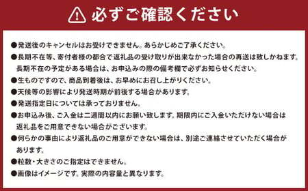 玉ねぎ麹＆甘くて柔らかい！早採りサラダ玉ねぎ 4kg （優品・サイズ混合）＜栽培期間中、無農薬・無化学肥料栽培／熊本県水俣市産／耕人舎＞野菜 タマネギ 玉ねぎ 糀調味料 麹 調味料 サラダ セット 【