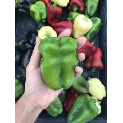 ふるさと納税 小豆島町 【自然農】季節のお野菜セット(約10品) |  | 03