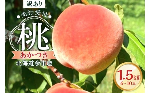 【2026年産 先行予約】＜北海道余市産＞訳アリ 桃「あかつき」1.5kg（6～10玉）