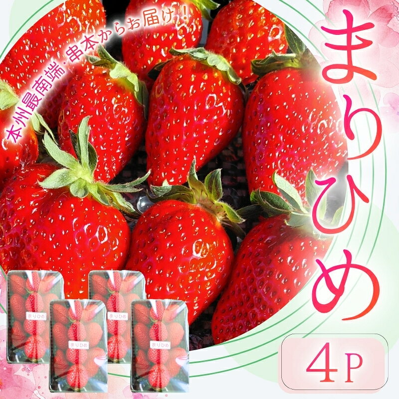 【ふるさと納税】【先行予約】串本町産 まりひめ いちご 200g～250g×4パック ※2027年1月～3月下旬ごろに順次発送予定 / いちご 苺 まりひめ 和歌山 フルーツ 果物 くだもの