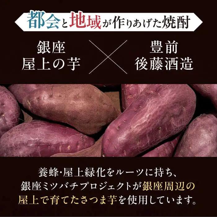 【全3回定期便】芋焼酎 銀座芋人 4合 720ml（25度）[VDA012] 焼酎 定期便