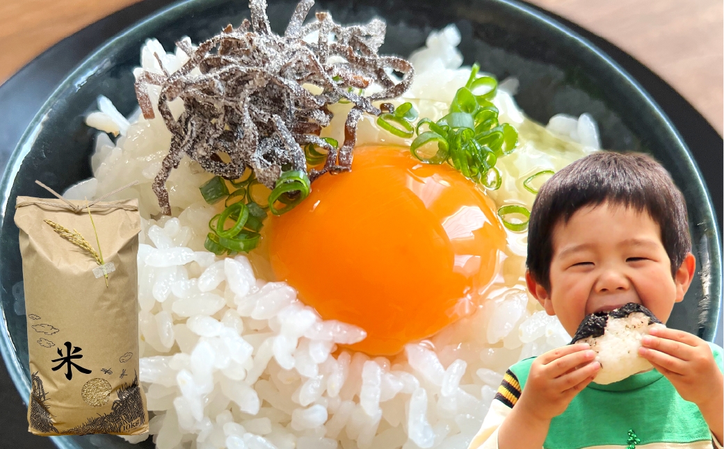 
            【令和7年産】白米 倉敷市産 ヒノヒカリ10kg【2026年7月上旬迄順次発送予定】【お米 米 おこめ こめ コメ 白米 ヒノヒカリ 特産品 国産 岡山県倉敷市産 岡山県 倉敷市 人気 おすすめ】
          