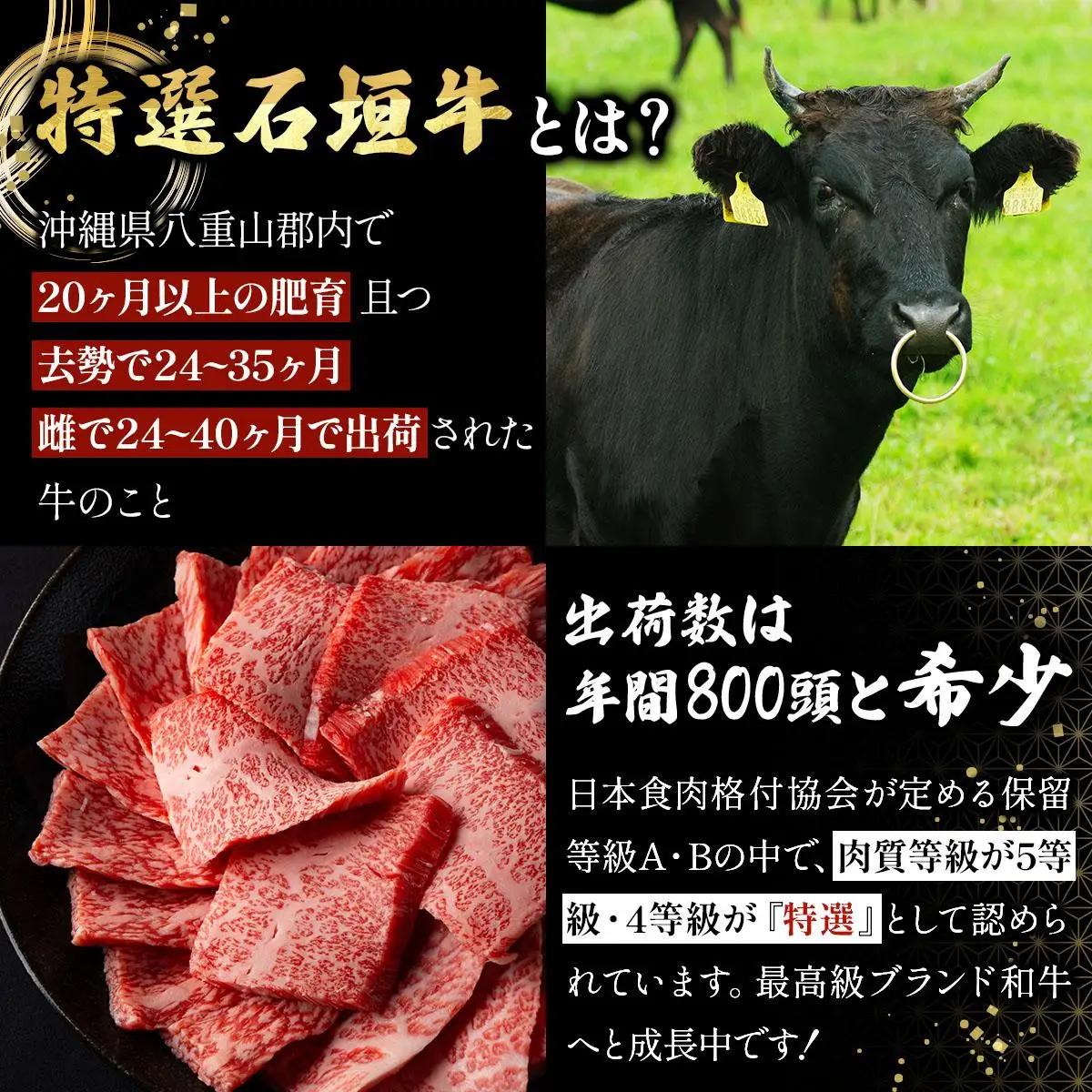 石垣牛 ミンチ 300g 2パック