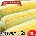 【ふるさと納税】北海道産 とうもろこし 2L 約10kg 20本前後 8月下旬～9月上旬頃お届け 発砲氷詰め トウモロコシ コーン スイートコーン 甘い とうきび 新鮮 旬 夏 野菜 産地直送 送料無料 北海道 洞爺湖町　野菜・とうもろこし　お届け：2024年8月21日～9月2日まで