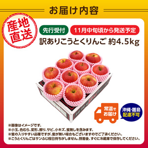 《先行受付》訳ありこうとくりんご約4.5kg 【2025年11月中旬頃～発送予定】【大江町産・山形りんご・大地農産・11月・12月】 028-025