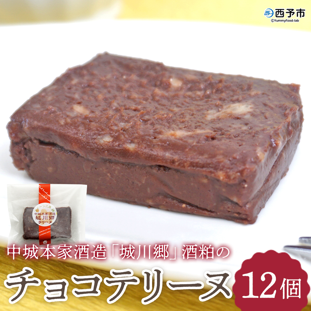 ＜中城本家酒造「城川郷」酒粕のチョコテリーヌ 12個＞ お酒 お菓子 焼き菓子 洋菓子 おやつ デザート お取り寄せ 詰め合わせ 個包装ギフト 愛媛県 西予市