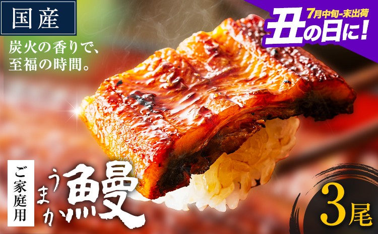 
                  うなぎ ご家庭用 3尾 国産 ランキング 獲得 鰻 真空パック おすすめ うなぎの蒲焼 《丑の日に！7月中旬-7月下旬出荷》 有頭 ふるさとのうぜい 鶏炭火焼 訳あり 簡易包装 不揃い ウナギ unagi 蒲焼 秋 冬 旬 配送時期 冷凍
                