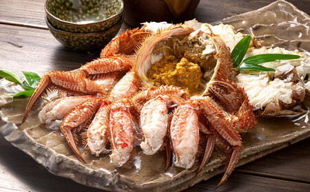 【先行予約】北海道オホーツク産海明け活毛ガニ　ボイル未冷凍配送(チルド 冷蔵配送)　700g前後　1尾（2026年3月下旬から発送予定）_05669