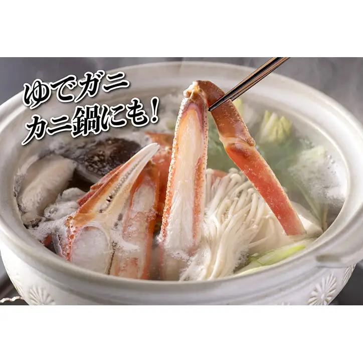 【1月出荷】かに 越前ガニ 訳あり 1本足折れ 600g～800g ボイル  茹で 越前がに 越前かに ずわいがに ズワイガニ カニ 姿  蟹鍋 献上ガニ 産地直送 お歳暮 福井県おおい町 ギフト
