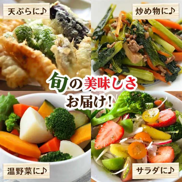 【6回奇数月】野菜定期便 11品目 野菜セット [SCZ005] 