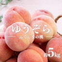 【ふるさと納税】No.2654　福島のもも　ゆうぞら　約5kg【2025年発送】