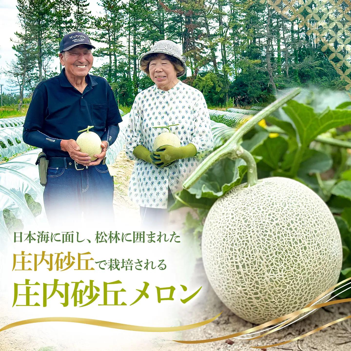 庄内砂丘アンデスメロン 約5kg(3玉～5玉) 蔓あり 令和9年産 K-935 菅原農園