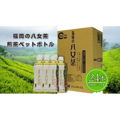 ふるさと納税 広川町 福岡の八女茶 煎茶 ペットボトル 500ml×24本(広川町)