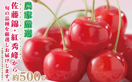 【2026年発送先行予約】山梨県産 定期便5回送り　南アルプスの果物セット ALPAI038