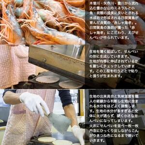 鈴円本舗のご家庭用 島風 いか 110g×3袋 堅焼せんべい 特製甘辛タレ【1436212】