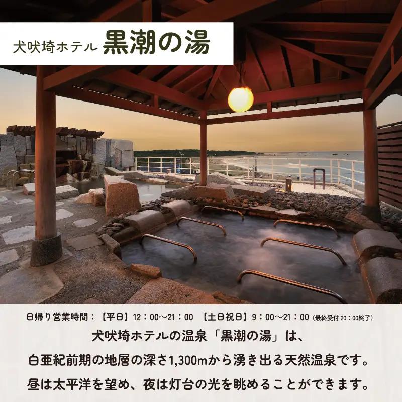 温泉 犬吠埼温泉 温泉利用券 土日限定 ペアチケット