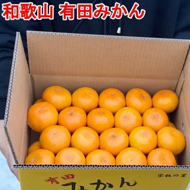 【ふるさと納税】【選べるサイズ・内容量】【秀品】まる隆果樹園　和歌山有田産！早生みかん【予約販売】【数量限定】