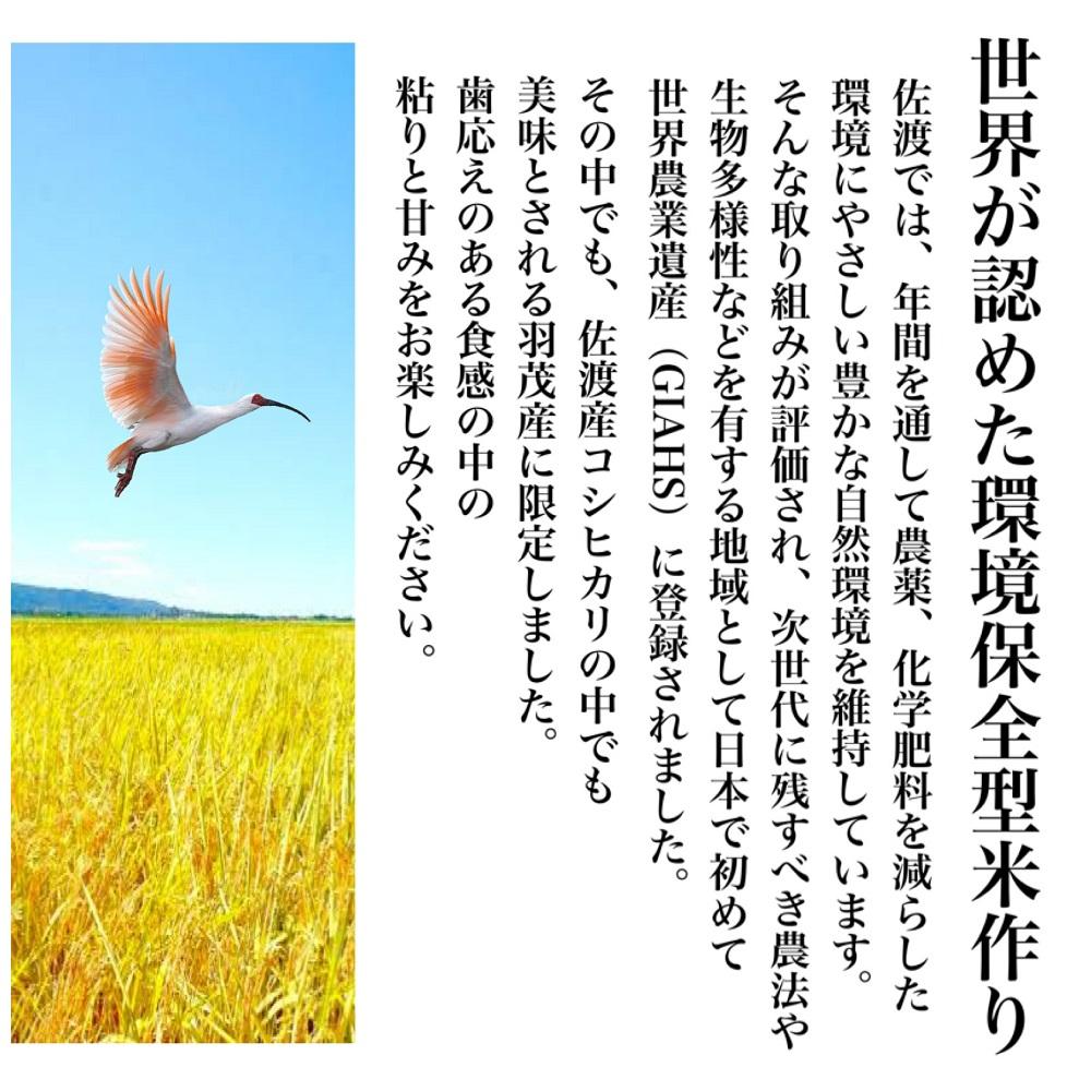 【令和５年度産】佐渡羽茂産コシヒカリ そのまんま真空パック 900g×12袋セット