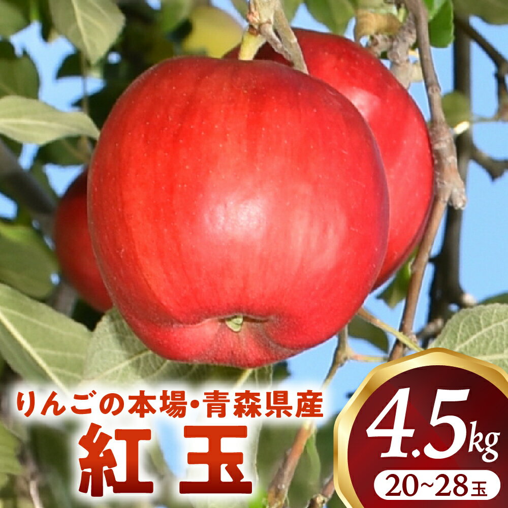 【ふるさと納税】青森りんご【紅玉】約4.5kg（20〜28玉）【2025年産・先行予約】★2025年10月中旬〜11月上旬頃まで発送予定★こうぎょく りんご 林檎 フルーツ 果物 果実 青森 青森県 青森県産 三戸 三戸町 高級 贈答 ギフト プレゼント 産地直送 農家直送 送料無料