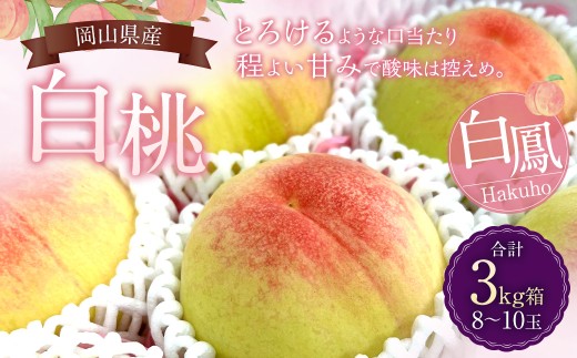 岡山県産 白桃（白鳳）約3kg 箱（8～10玉） 【2026年7月上旬～7月下旬発送予定】 白桃 白鳳 桃 果物 フルーツ 贈り物 プレゼント 冷蔵 岡山県 美咲町