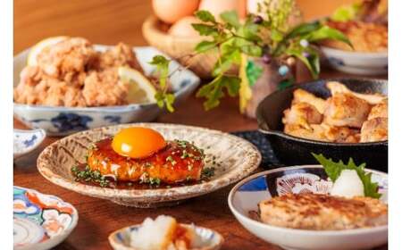 「土佐ジロー」地鶏 ハンバーグ 6袋 地鶏 成熟 噛む旨み 深い味わい 冷凍 BN