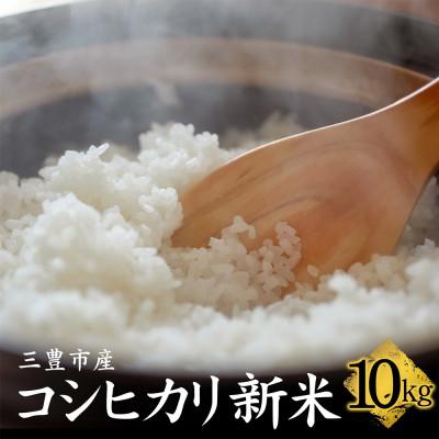 ふるさと納税 三豊市 ふるさと納税　白米【新米コシヒカリ10.0kg】三豊市産