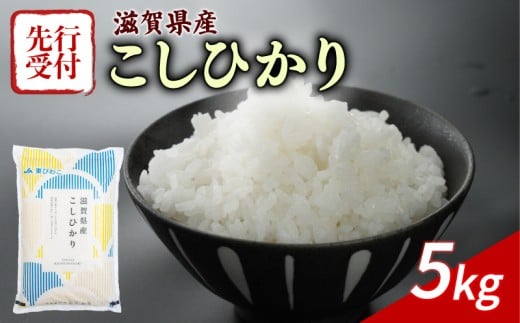 【令和7年産先行受付】 こしひかり 5kg 令和7年産 新米 米 精米 こめ コメ お米 ご飯 米 コシヒカリ 先行受付 5キロ 令和7年 滋賀 彦根