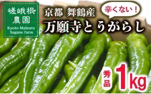 【5月中旬～11月下旬発送】 万願寺 とうがらし 秀品 1kg 辛くない 美味しい おいしい 肉厚 甘い 旬 採れたて 箱入り 伝統野菜 バーベキュー BBQ 野菜 夏野菜 農家 産地 直送 揚げ物 炒め物 煮物 万願寺とうがらし 唐辛子 京都 舞鶴 | まんがんじ ご当地野菜 地場産品 地場野菜 野菜 発祥 京都 京野菜 期間限定 夏野菜 秋 夏 野菜 やさい 箱入り