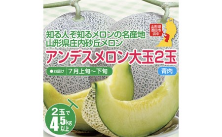 【先行予約 2025年7月発送】庄内砂丘メロン 大玉アンデスメロン（青肉）2玉 4.5kg以上 つる付 化粧箱入 FSY-0337