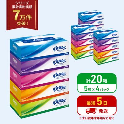 ふるさと納税 岩沼市 ティッシュ クリネックス ティシュー 5箱入×4P ティッシュペーパー [No.5704-1035]