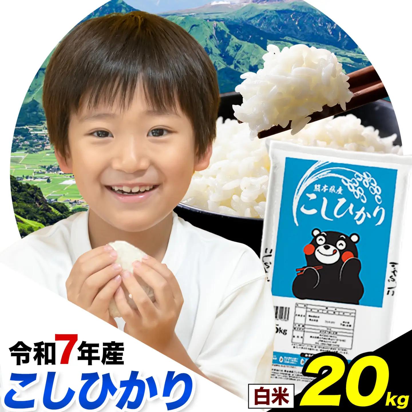白米 令和7年産 こしひかり 20kg 白米