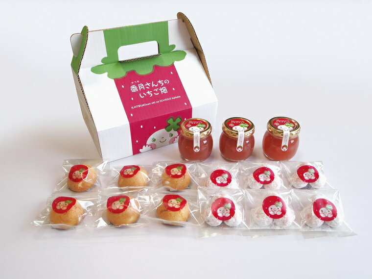 【ふるさと納税】さがほのか　いちごのおやつセット【ギフトセット】（BG208）