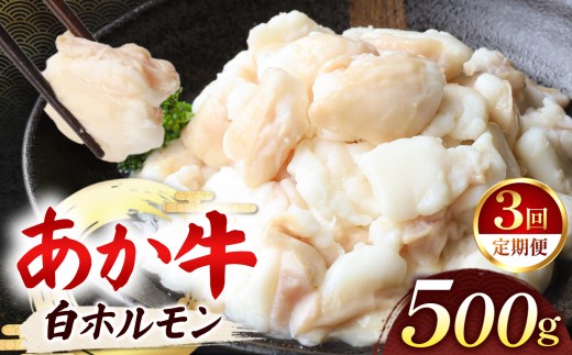 【定期便 3回】あか牛 白 ホルモン 計500g (250g×2P)  | 肉 にく お肉 おにく 牛 あか牛 ホルモン 白ホルモン 熊本県 玉名市 定期 定期便