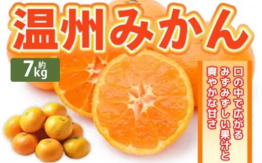 温州みかん 約7kg 2S ～ 2Lサイズ みかん ミカン 蜜柑 果物 くだもの フルーツ 柑橘 柑橘系 柑橘類 果実 果肉 国産 熊本県産 【 2026年11月上旬～12月上旬発送予定 】