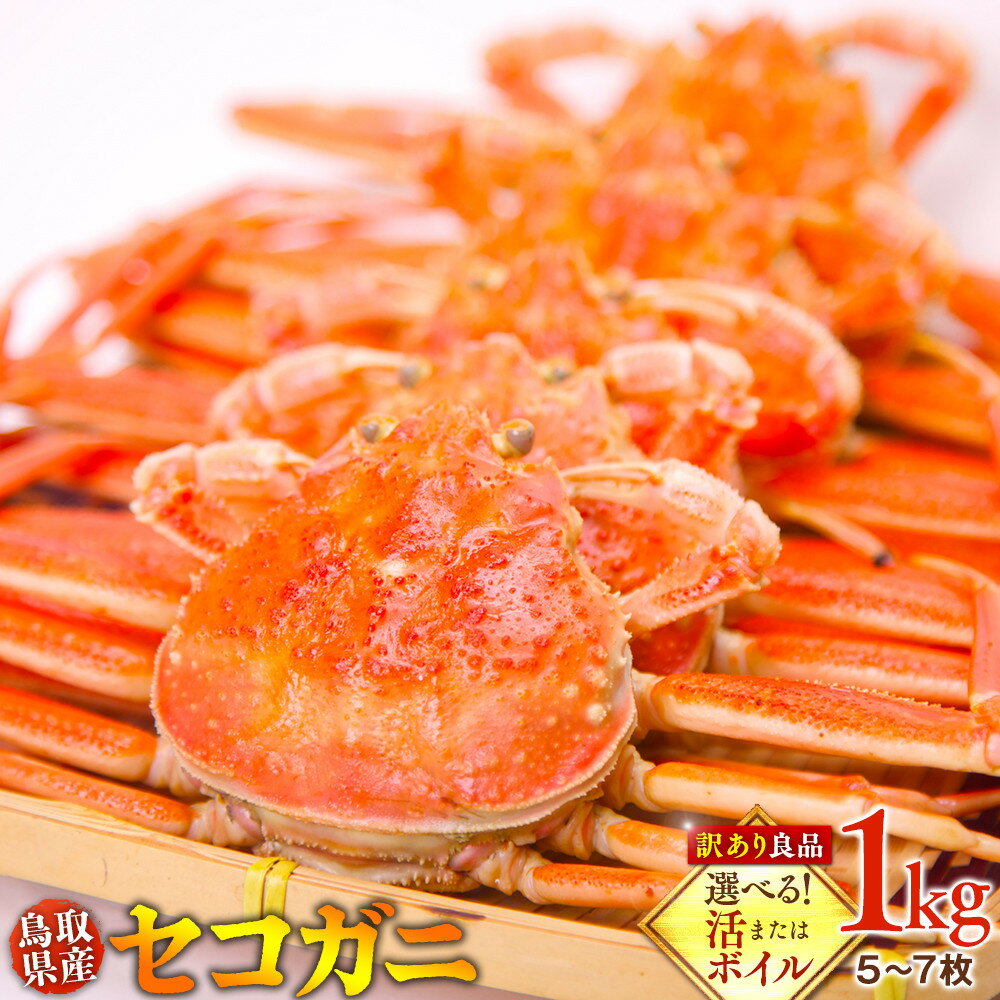 【ふるさと納税】【選べる！活またはボイル】鳥取県産 セコガニ 訳あり良品 1kg(5～7枚)※2026/11/6～2026/12/25に順次発送予定 | 蟹 かに せこがに せこ蟹 訳あり 家庭用 鳥取県産 北栄町 おすすめ 人気