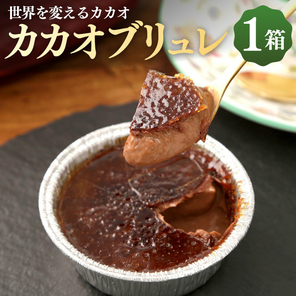 【ふるさと納税】にっぽんの宝物世界大会2023 日本と海外の融合部門 第2位獲得！【世界を変えるカカオ】濃厚カカオブリュレ 1箱3個入 チョコ チョコレート クレームブリュレ 洋菓子 お菓子 スイーツ 冷凍 高知 高知県 香美市 送料無料