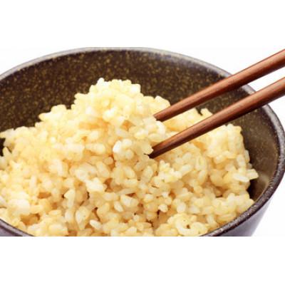 ふるさと納税 横手市 【令和7年産】秋田県横手市産 あきたこまち 玄米 5kg |  | 01