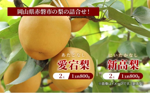 
                  梨 2025年 岡山県赤磐市 梨の詰合せ！ 愛宕梨 2玉・新高梨 2玉 合計約3.2kg フルーツ なし 果物 岡山のフルーツ 岡山の果物 国産 日本産 日本一大きい梨 しっとり 秋の果物 秋の味覚 
                