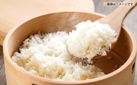 米 お米 ご飯 ごはん 白米 お弁当 朝食 常温