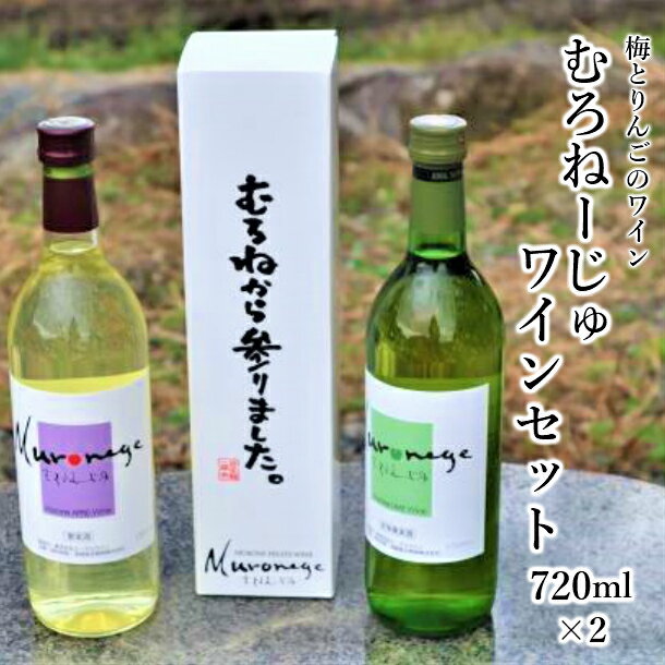 【ふるさと納税】ワイン むろねーじゅワイン 2本 セット 梅ワイン りんごワイン 720ml