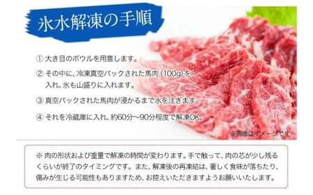馬刺し 上赤身 ブロック 100g×15 馬刺し《3-7日以内に出荷予定(土日祝除く)》