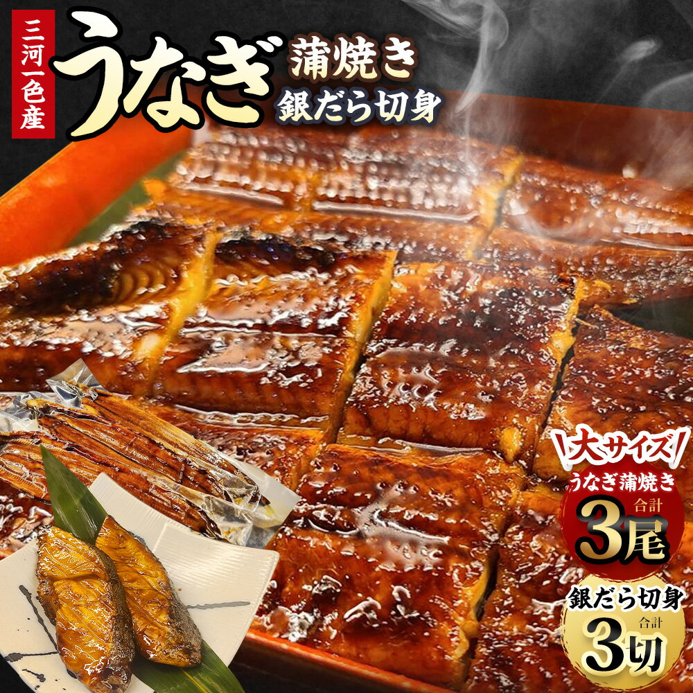 【ふるさと納税】 三河一色産 うなぎ蒲焼き 大3尾 + 銀たら 照り焼き 3切れ 蒲焼きたれ 肝焼き お魚 湯煎 惣菜 セット 簡単調理 冷凍 幸田町 送料無料