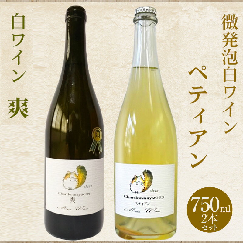 【ふるさと納税】白ワイン・微発泡白ワイン 飲み比べ 各750ml【2本セット】爽・ペティアン 東浦町の耕作放棄地を開墾した畑で大切に育てられたシャルドネから造ったワイン Chardonnay 2023 無添加 国産 日本ワイン パーティー 亜硫酸塩(酸化防止剤)無添加　送料無料 [AH007]