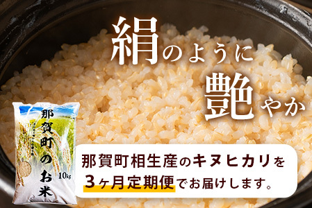 玄米 定期便3回 那賀町のお米(玄米) キヌヒカリ 10kg×3回 合計30kg 定期便 玄米 YS-30 お米 玄米 四国 玄米 徳島 玄米 那賀 玄米 相生 玄米 美味しい玄米 3ヵ月 3か月 3