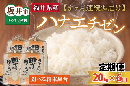 【先行予約】【令和8年産・新米】定期便 ≪6ヶ月連続お届け≫ ハナエチゼン20kg×6回 計120kg ～本原農園からまごころコメて～（玄米）【2026年9月上旬以降順次発送予定】 [P-8903]