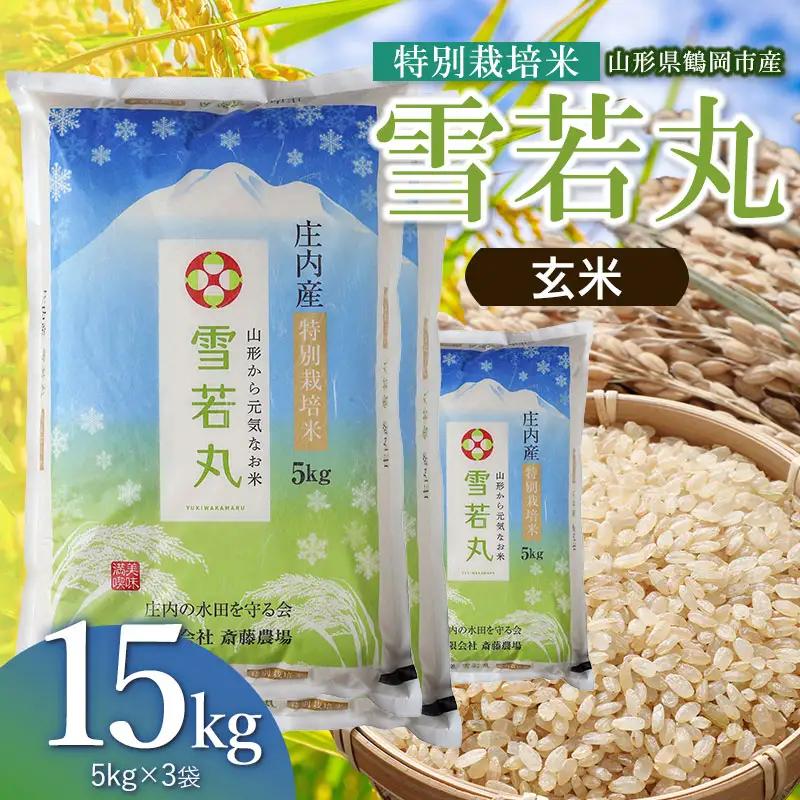 【令和8年産 新米】 特別栽培米 雪若丸 玄米 15kg（5kg×3袋） 山形県鶴岡市 K-8111 斎藤農場