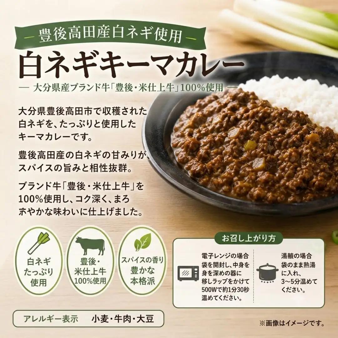 大分素材の健康レトルトカレー2種セット｜国産 黒毛和牛 ビーフ キーマ 豊後高田市 レトルトカレー